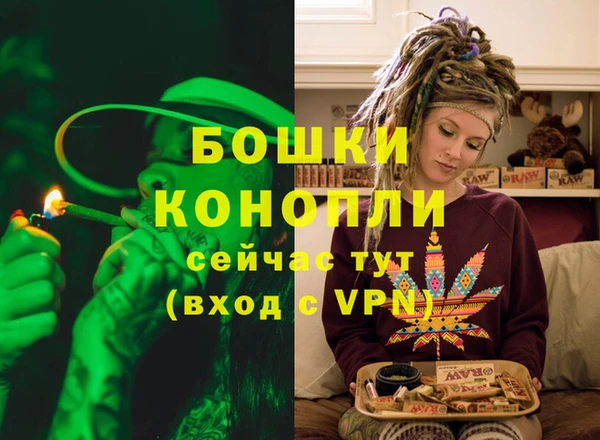 первитин Инта