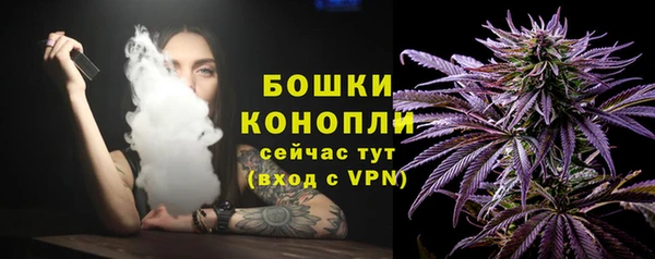 бошки Иннополис